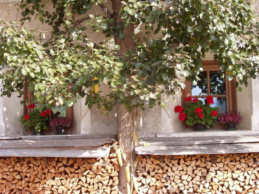 דירות ראסון די סופרה Mansarda Dolomiti מראה חיצוני תמונה